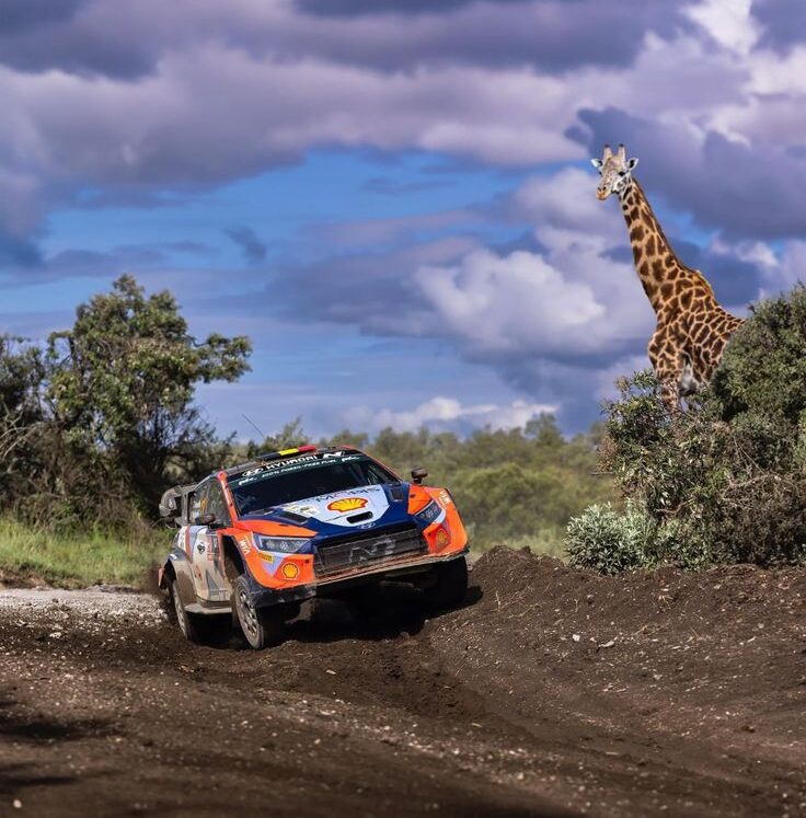 Thierry Neuville (1) Thierry Neuville (1)