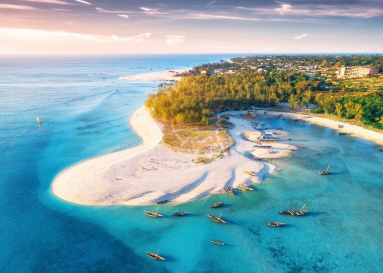 11 Days of Adventure: Gorillas, Great Migration & Zanzibar Bliss